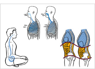 Sachbuch über Pilates _ für den Verlag Ueberreuter